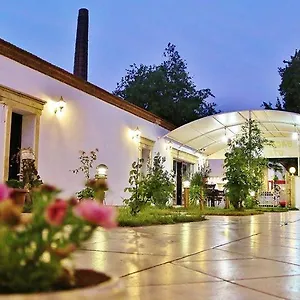Bacahan Altınoluk